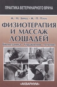 Физиотерапия и массаж лошадей.