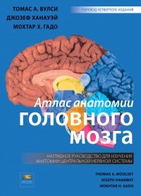  - Атлас анатомии головного мозга