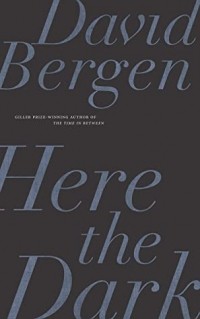 Дэвид Берген - Here the Dark: A Novella and Stories