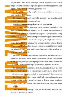 Rozdeptałem czarnego kota przez przypadek