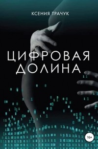 Цифровая долина