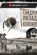 Дарья Бобылёва - Синдром распада колонии