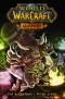  - World of Warcraft. Шаман