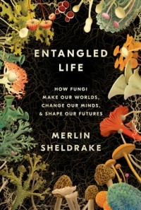 Мерлин Шелдрейк - Entangled Life: How Fungi Make Our Worlds, Change Our Minds & Shape Our Futures