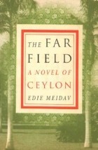 Эди Мейдав - The Far Field
