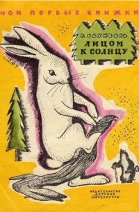 Рахиль Баумволь - Лицом к солнцу (сборник)