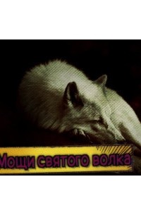 Мощи святого волка