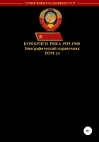 Денис Юрьевич Соловьев - Комбриги РККА 1935-1940. Том 24