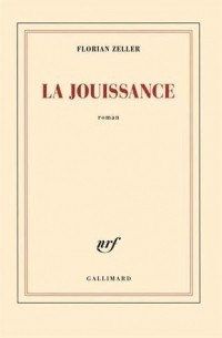 La jouissance: Un roman européen