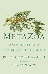 Питер Годфри-Смит - Metazoa: Animal Life and the Birth of the Mind