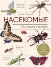 Михаил Куценко - Насекомые. Иллюстрированная энциклопедия начинающего энтомолога
