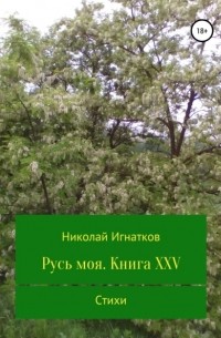 Николай Викторович Игнатков - Русь моя. Книга X