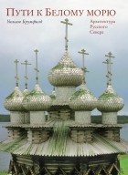 Уильям Крафт Брумфилд - Пути к Белому морю