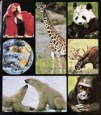 International Masters Publishers - Энциклопедия «В мире дикой природы» (Том 1)