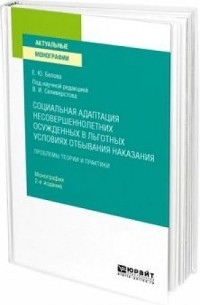 Социальная адаптация несовершеннолетних осужденных в льготных условиях отбывания наказания. Монография