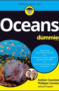  - Oceans For Dummies
