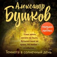 Александр Бушков - Темнота в солнечный день