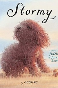 Гуоджин  - Stormy: A Story About Finding a Forever Home