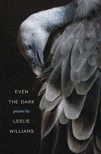 Лесли Уильямс - Even the Dark