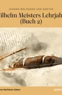 Wilhelm Meisters Lehrjahre, Buch 2