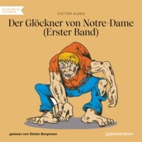 Victor Hugo - Der Glöckner von Notre-Dame, Band 1