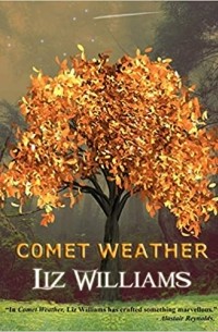 Лиз Уильямс - Comet Weather