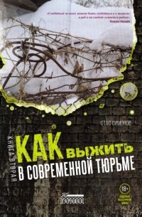 Станислав Симонов - Как выжить в современной тюрьме. Книга вторая. Пять литров крови. По каплям