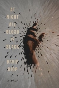 David Diop - At Night All Blood is Black