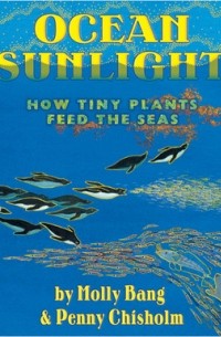  - Ocean Sunlight: How Tiny Plants Feed the Seas