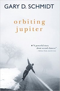 Gary D. Schmidt - Orbiting Jupiter