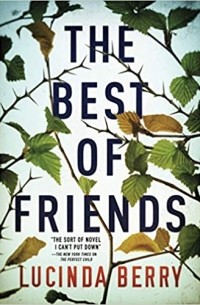 Люсинда Берри - The Best of Friends