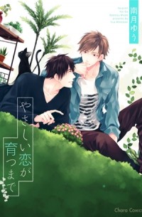 やさしい恋が育つまで / Yasashii Koi ga Sodatsu Made
