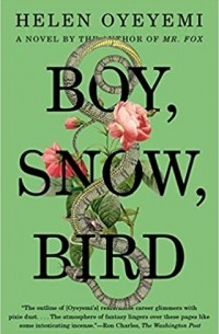 Boy, Snow, Bird