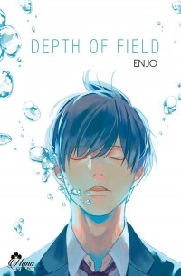 Depth of Field, Tome 1