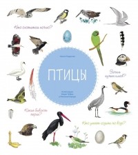 Натали Торджман - Птицы