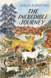 Шейла Барнфорд - The Incredible Journey