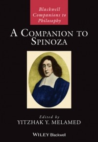 Группа авторов - A Companion to Spinoza