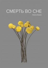 Никита Божин - Смерть во сне