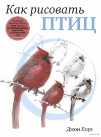 Джон Лоуз - Как рисовать птиц