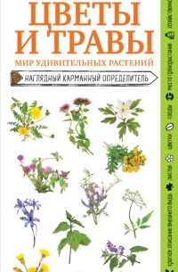 Михаил Куценко - Цветы и травы. Мир удивительных растений