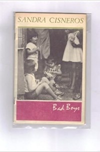 Сандра Сиснерос - Bad Boys