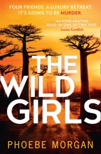 Phoebe Morgan - The Wild Girls