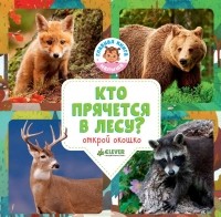 Ольга Уткина - Удивительный мир. Кто прячется в лесу?