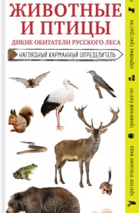 Михаил Куценко - Животные и птицы. Дикие обитатели русского леса