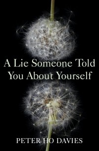 Peter Ho Davies - A Lie Someone Told You About Yourself