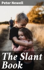 Peter Newell - The Slant Book
