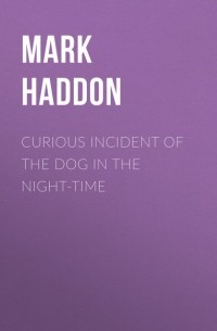 Марк Хэддон - Curious Incident of the Dog in the Night-time