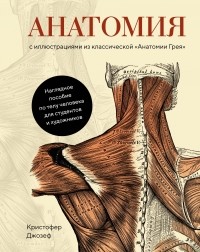 Кристофер Джозеф - Анатомия: С иллюстрациями из классической «Анатомии Грея»