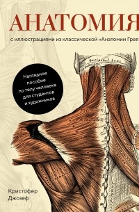 Кристофер Джозеф - Анатомия: С иллюстрациями из классической «Анатомии Грея»