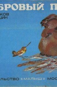 Бобровый пруд